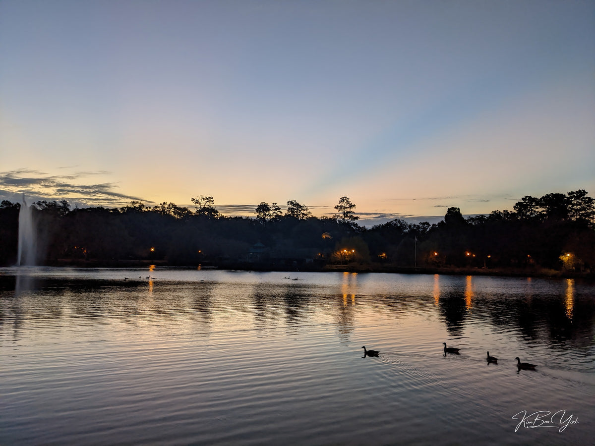 Lake Ella Shiny Dawn [DIGITAL DOWNLOAD]
