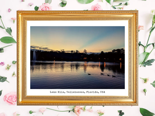 Lake Ella at dawn, Tallahassee, FL [DIGITAL DOWNLOAD]