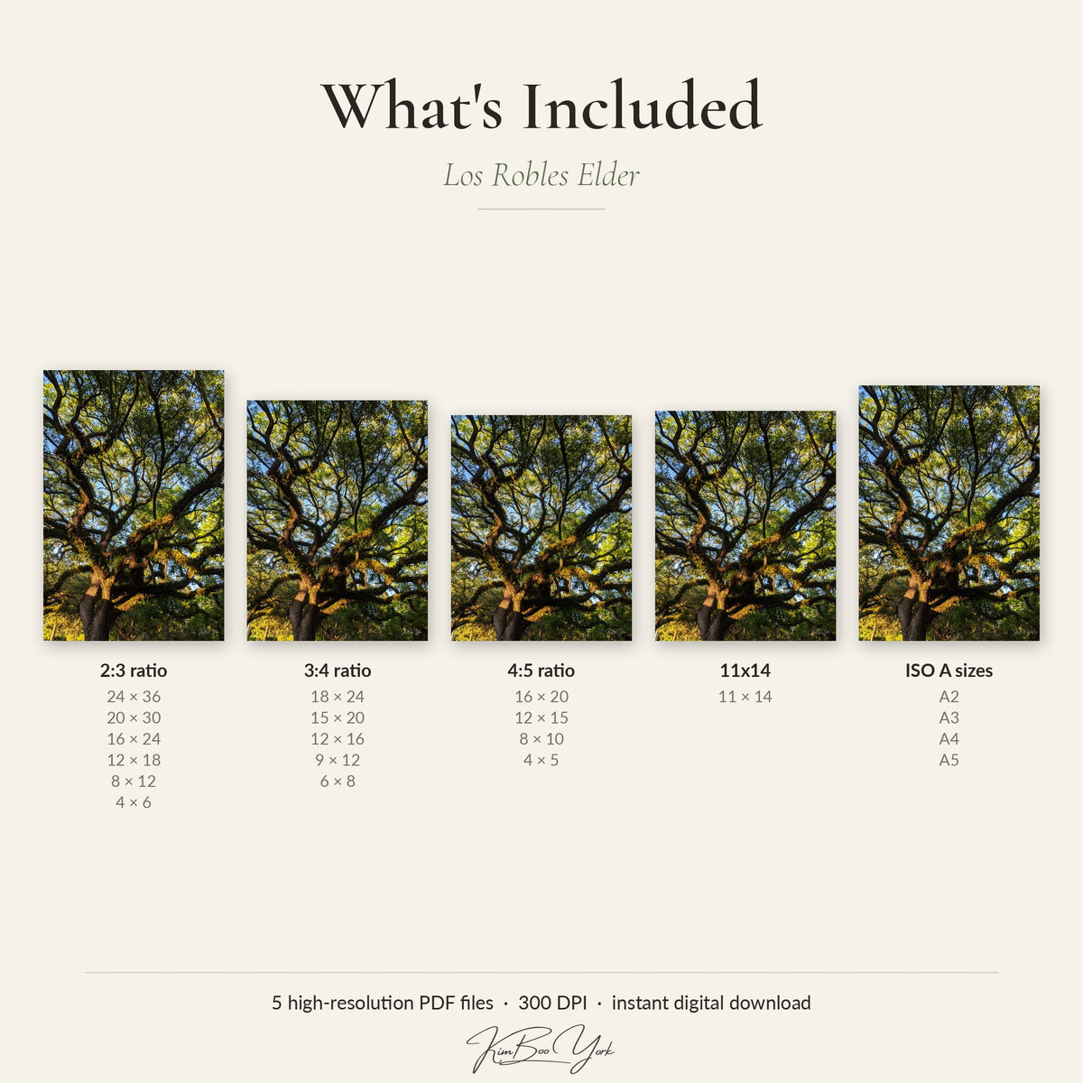 Los Robles Elder [DIGITAL DOWNLOAD]
