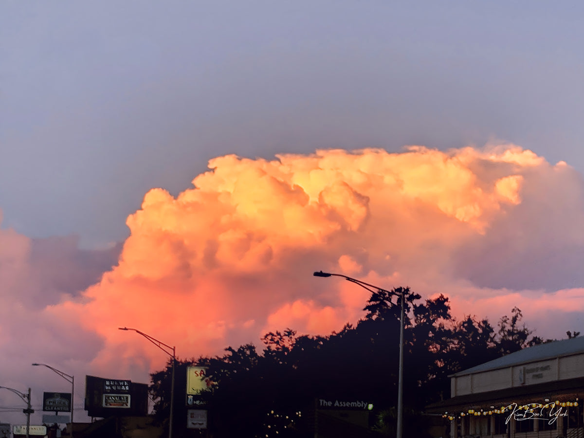 Monroe Street at Dusk [DIGITAL DOWNLOAD]